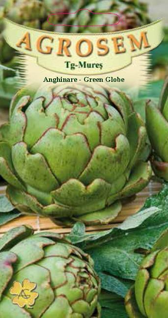 Anghinare-Green Globe