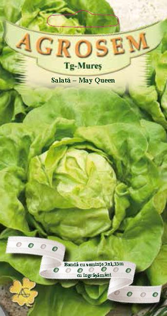 Salată-May Queen