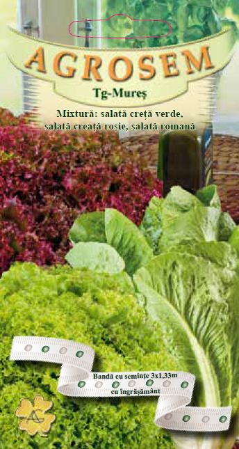 Mixtură:Salată creaţă verde,salată creaţă roşie,salată romană