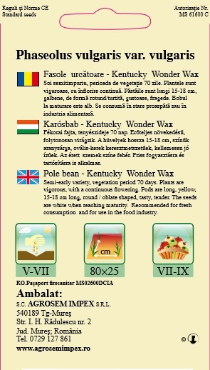 Fasole urcătoare - Kentucky Wonder Wax