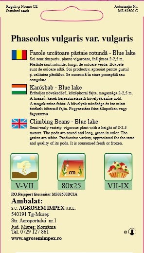 Fasole urcătoare - Blue Lake