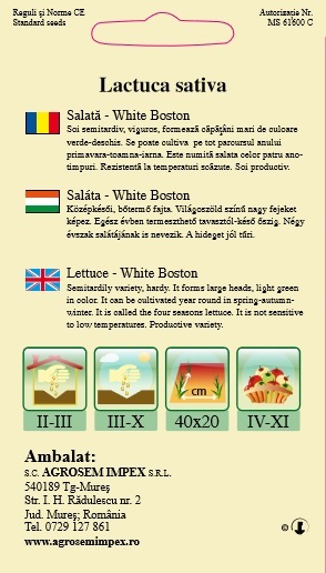 Salată - White Boston