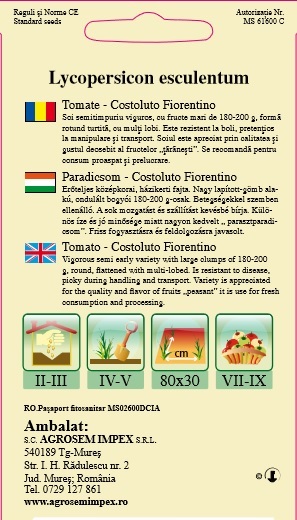 Tomate - Costoluto Fiorentino