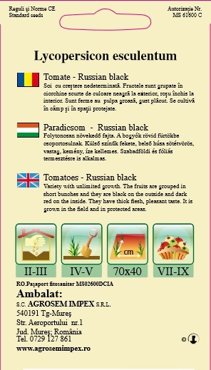 Tomate - Russian black