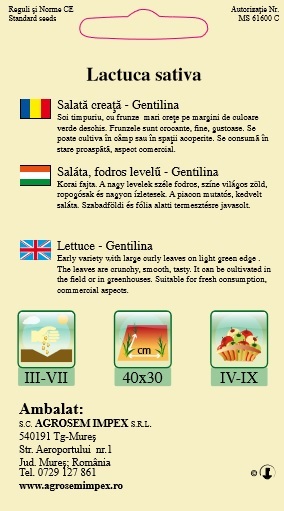 Salată-Gentilina